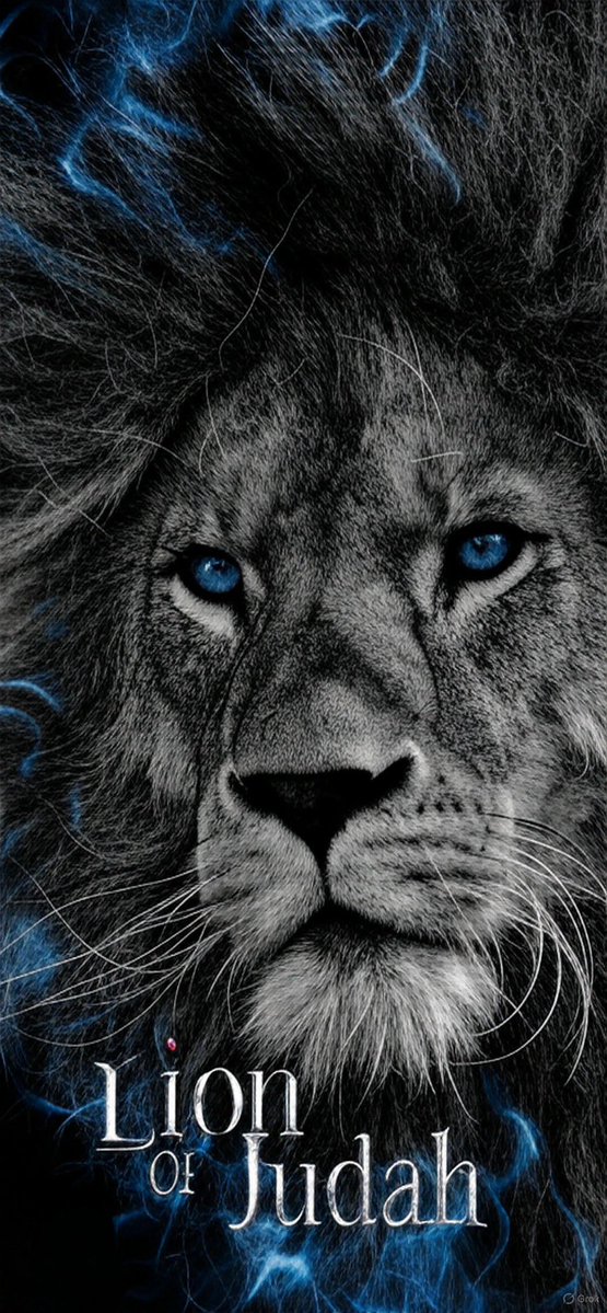 Roni (@roni_adonai) on Twitter photo 