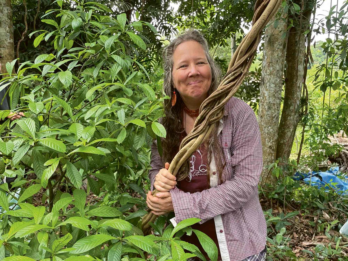 São Paulo, Brazil. 2025 is the 100th anniversary of Rudolf Steiner’s death. How does he live on in specific individuals? Regina Klein, founder, educator, and therapist at Casa Crianca Querida and Circus Sternenbrücke [Starbridge Circus], gives her answers.

Which sentence by