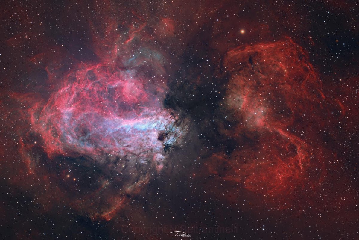 AstroBin_com's tweet image. AstroBin's Image of the Day: "Omega nebula in HS_SHO-RGB combination" by Nicola Beltraminelli
astrobin.com/qc27nw/
#astrophotography