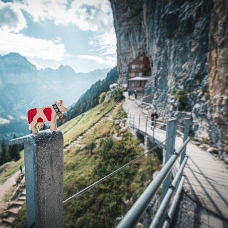 🐮 Moo-stery spot! Can you guess where my little hooves climbed this time? 🇨🇭

Here are two clues:
⛰️ A wooden guesthouse perched at the base of a 100m-high cliff.
🥾 Located in Appenzell Innerrhoden. I hiked up myself, no cow lift in sight!

Any guesses? 👇