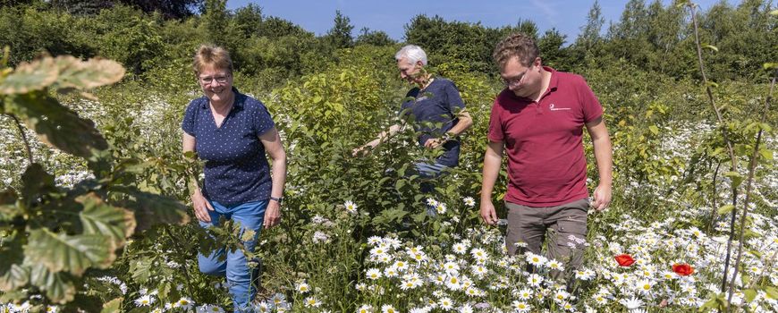 "We hebben de buren vooraf geïnformeerd over onze plannen om bos te planten": Jarenlang was de 2,5 hectare grond van de familie Rouwhof in Markelo landbouwgrond. Dat verpachtten ze aan een boer, maar financieel was dat niet voordelig. “Landbouwgrond… dlvr.it/TM8jd2