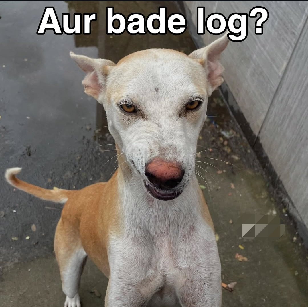 🇺🇸: hey are you busy?
🇮🇳: