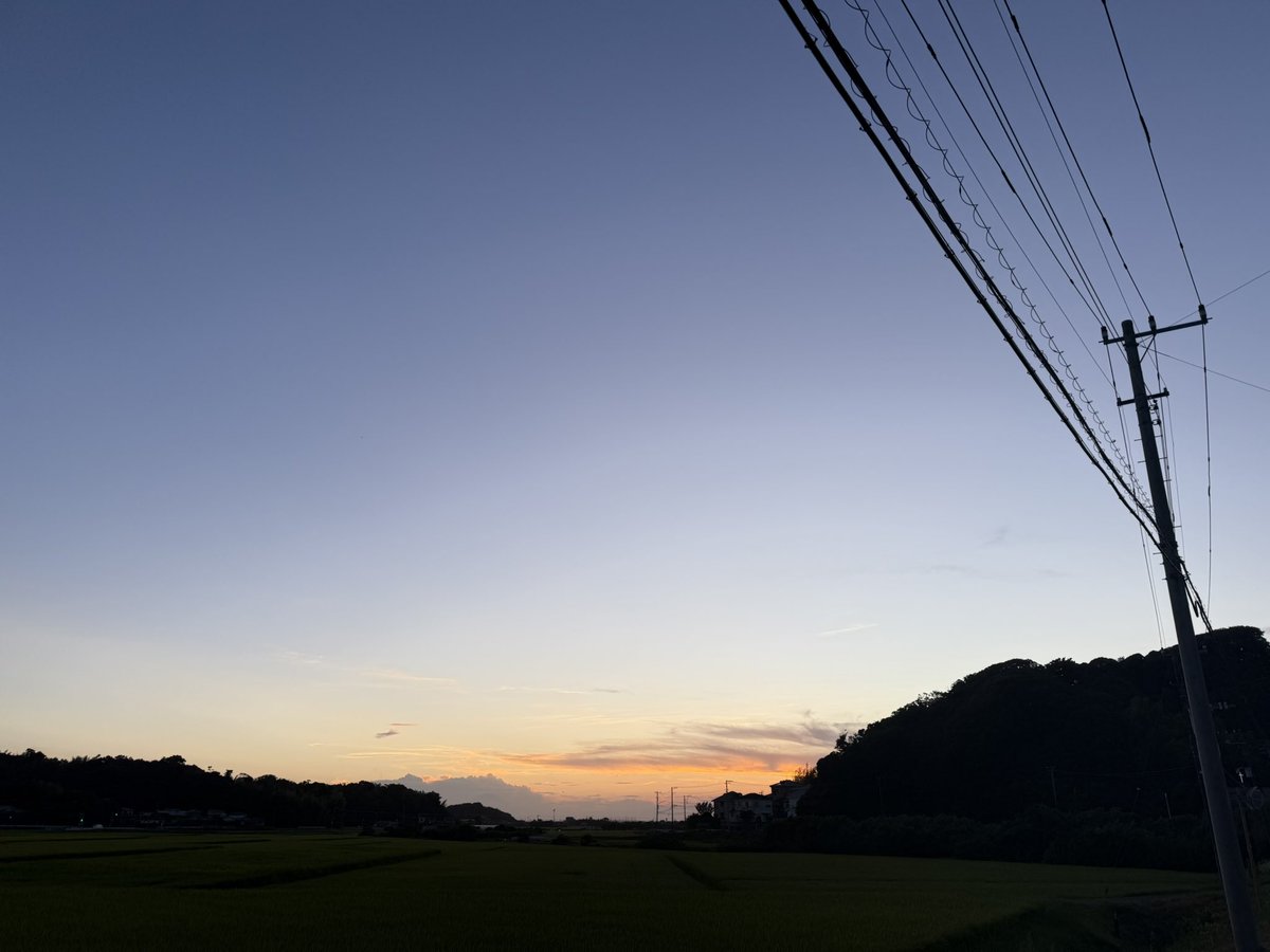 fried_egg_ponzu's tweet image. 夏、好き