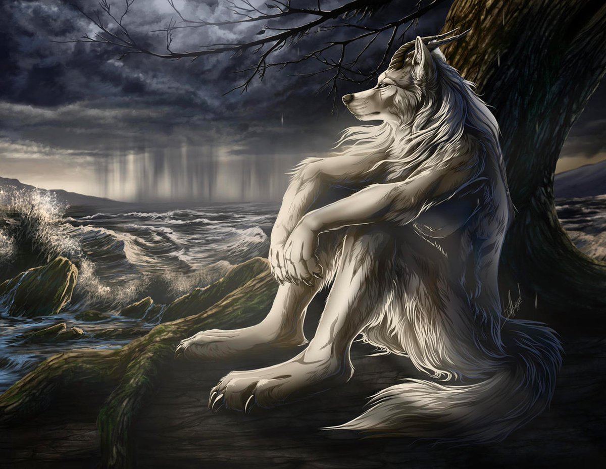 TheNub0r's tweet image. 