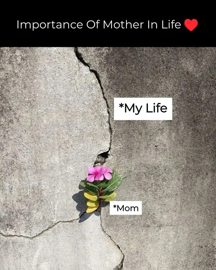 The Lost Hindu (@thelosthindu5) on Twitter photo 