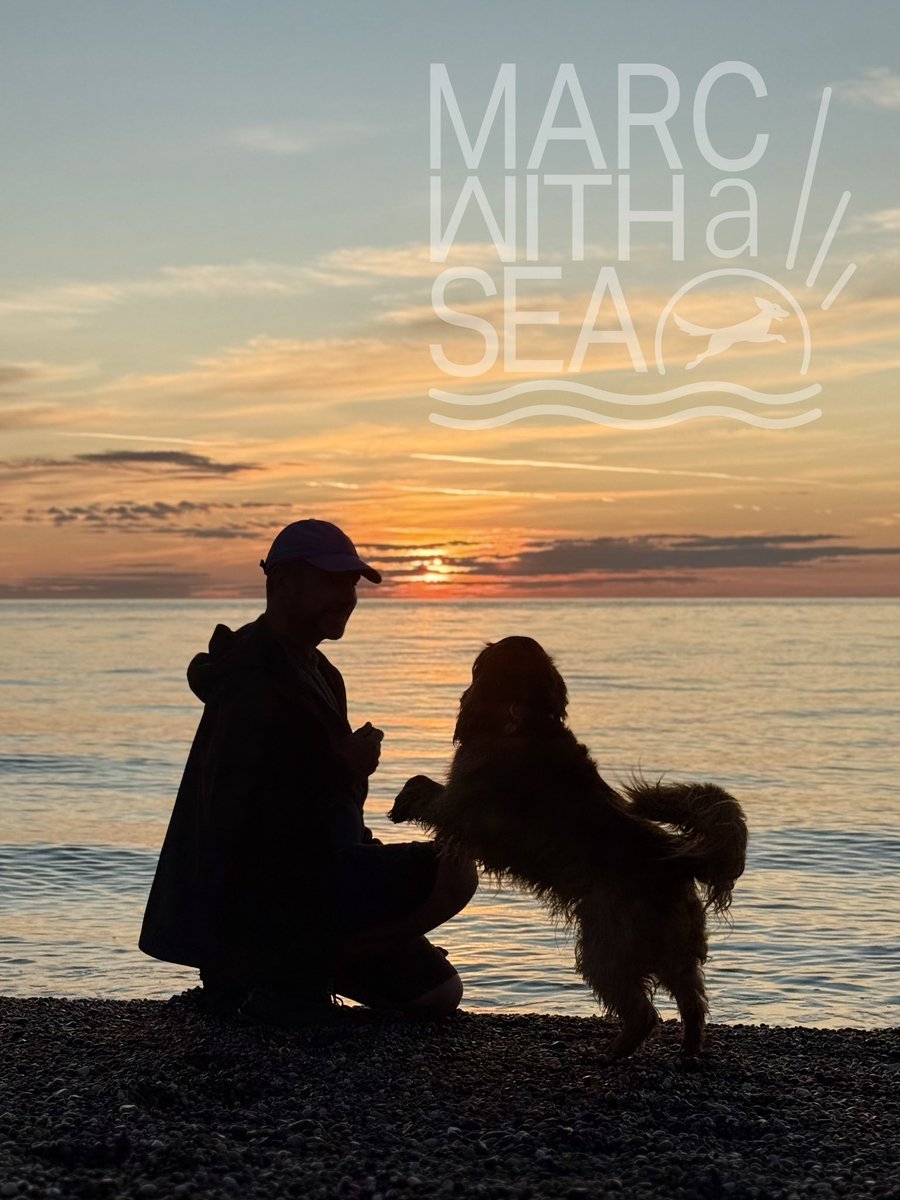 Nearly back up to 7k followers after the exodus.
Those numbers are not *that* important to me these days, but if you DO like things like sunrise, calm, Irish Seascapes, light on water &amp; a very handsome dog…?
…then you should absolutely follow us. ☺️
Please share if you agree?
