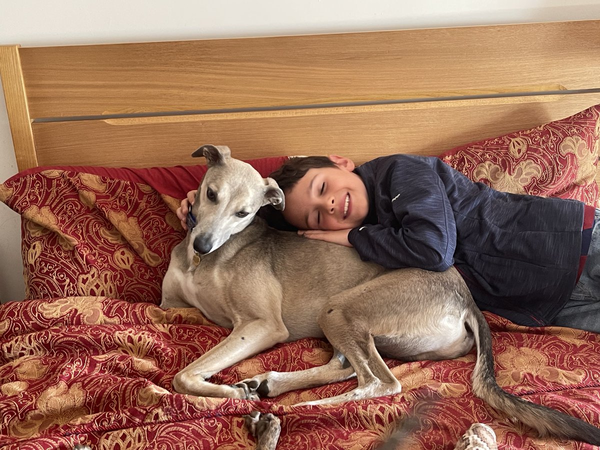Ickle Hoo loves Lenny Lurcher ❤️❤️❤️
