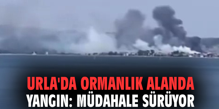 medyaegecomtr's tweet photo. Urla'da ormanlık alanda yangın: Müdahale sürüyor https://t.co/oBn2vzNh3v @MEDYAEGE.COM.TR aracılığıyla
#izmir #urla #yangın #mudahale
#izmiryanıyor
#bursayanıyor
İbrahim Tatlıses
Garnacho
#hükümetistifa
#bist100
Ormanları
#KocaeliYanıyor
Dilan Çıtak
Benzin
Ali Koç https://t.co/BB49e6Aakn