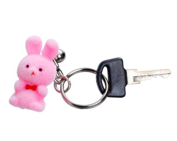 Kitaco_Fire's tweet image. 昨日買ったキーホルダー
&quot;ズーホルダー&quot;って言うらしい
調べると結構種類あるみたい
旧車、ネオクラ車のお友にいかがですか？