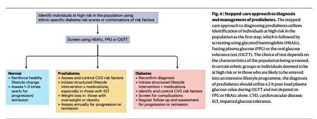 🔰Prediabetes - The Lancet( De revisión obligatoria). 

✅La prediabetes es una afección heterogénea que aumenta el riesgo de diabetes mellitus tipo 2 (DM2), así como de ECV y otras complicaciones metabólicas.
✅Continúan las discusiones sobre los criterios diagnósticos y la