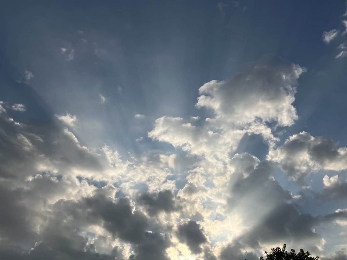 awake_human's tweet image. Grand rising ☀️
It’s a beautiful morning and the birds are singing happily and that makes me happy 😃 wishing y’all an amazing day ahead, stay safe and smart and fluid 🙏🌊
Now more than ever-
Arrive the Symphony 🙏❤️
