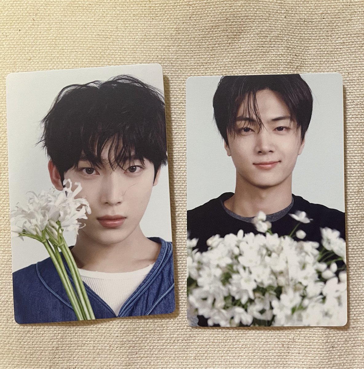tomoEN17's tweet image. 同種のヒスンと交換お願いします😭
#ENHYPEN交換

花束トレカ

譲　ジェイ、ソヌ

求　ヒスン

郵送希望
ffさん優先