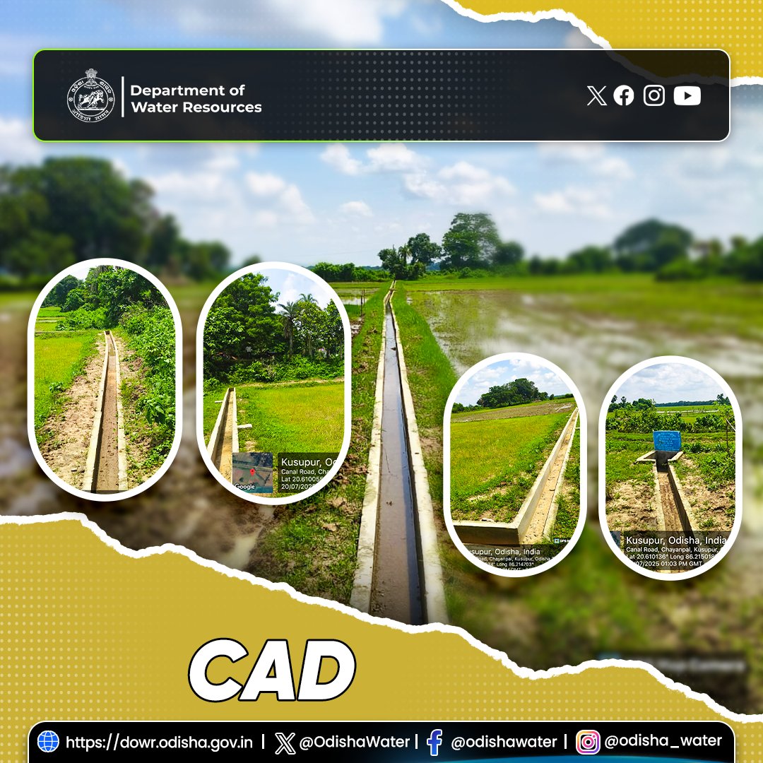 OdishaWater's tweet image. #FieldChannel work at Kusupur, Mahanga Block, #CuttackDistrict under CAD Division, Cuttack is in progress. A total of 251.50 meters of lined channel is being constructed, which will provide irrigation facilities to 10.53 hectares of agricultural land. #OdishaWater  #CAD