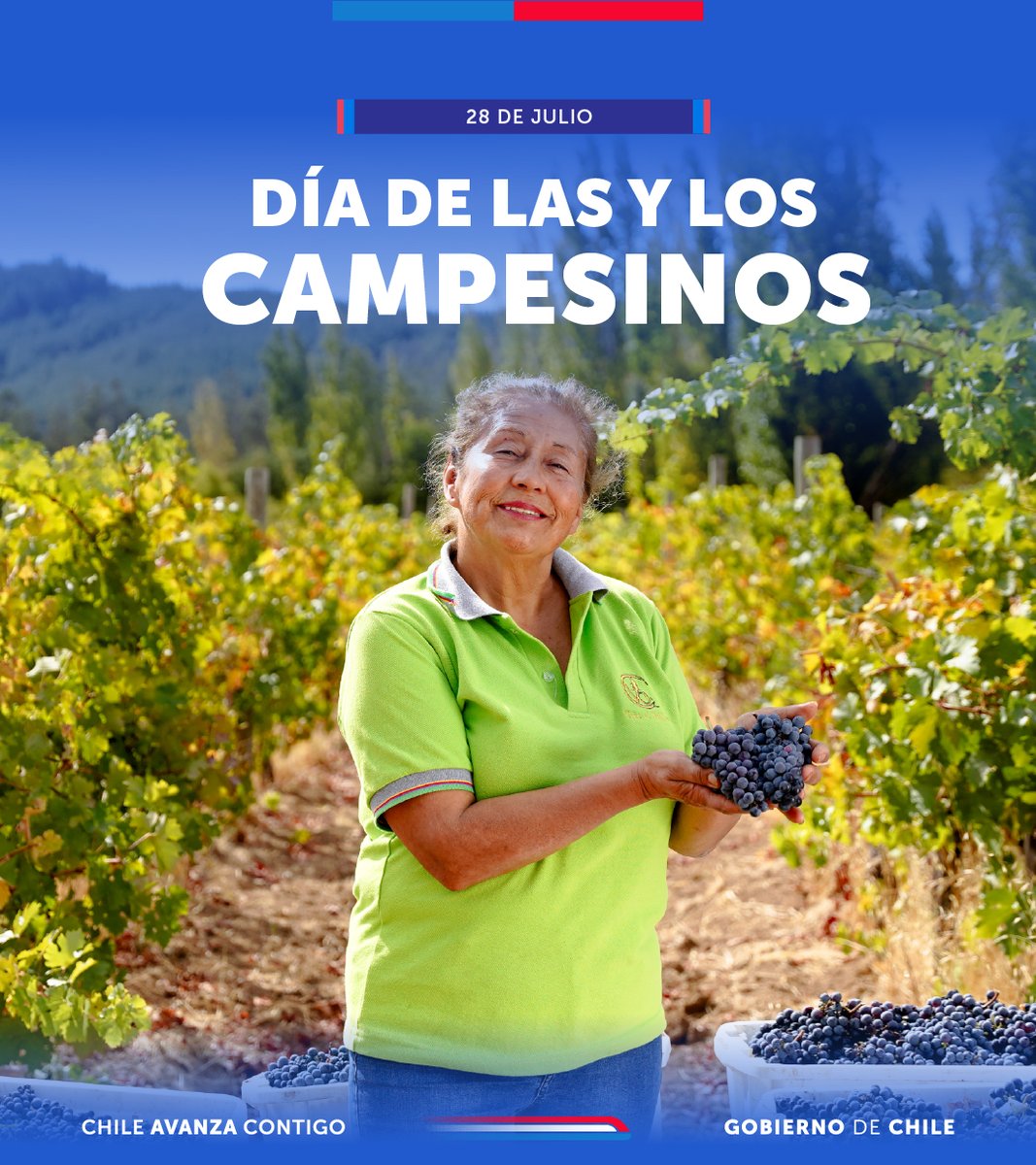 Ministerio de Agricultura de Chile 🇨🇱 tweet media