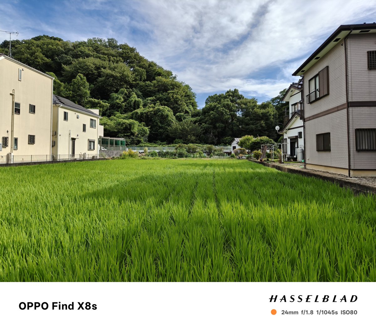 daneishe888's tweet photo. Oppo Find X8s はカメラの写りがとても良い。
（・∀・）ｲｲ!

何と言っても色が派手過ぎないのが好印象。誰でも実に雰囲気の良い写真が撮れます。
(　´∀｀)b

#Oppo
#x8s
#FindX8s https://t.co/ZaAshCB347