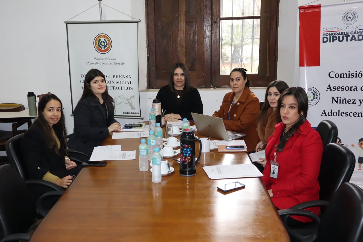 La Comisión de Niñez y Adolescencia de la Cámara de Diputados, presidida por la diputada nacional Dalia Estigarribia (PLRA-Central), se reúne de forma ordinaria a fin de dar estudio y análisis varios proyectos contemplados en el orden del día del bloque asesor.