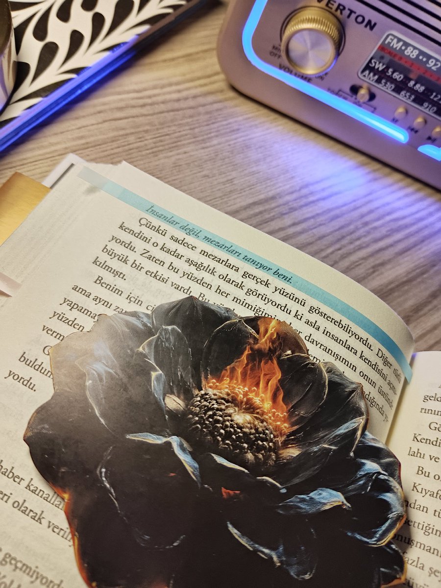 İnsanlar değil, mezarları tanıyor beni. <a href="/ephesusyayinevi/">Ephesus Yayınları</a>