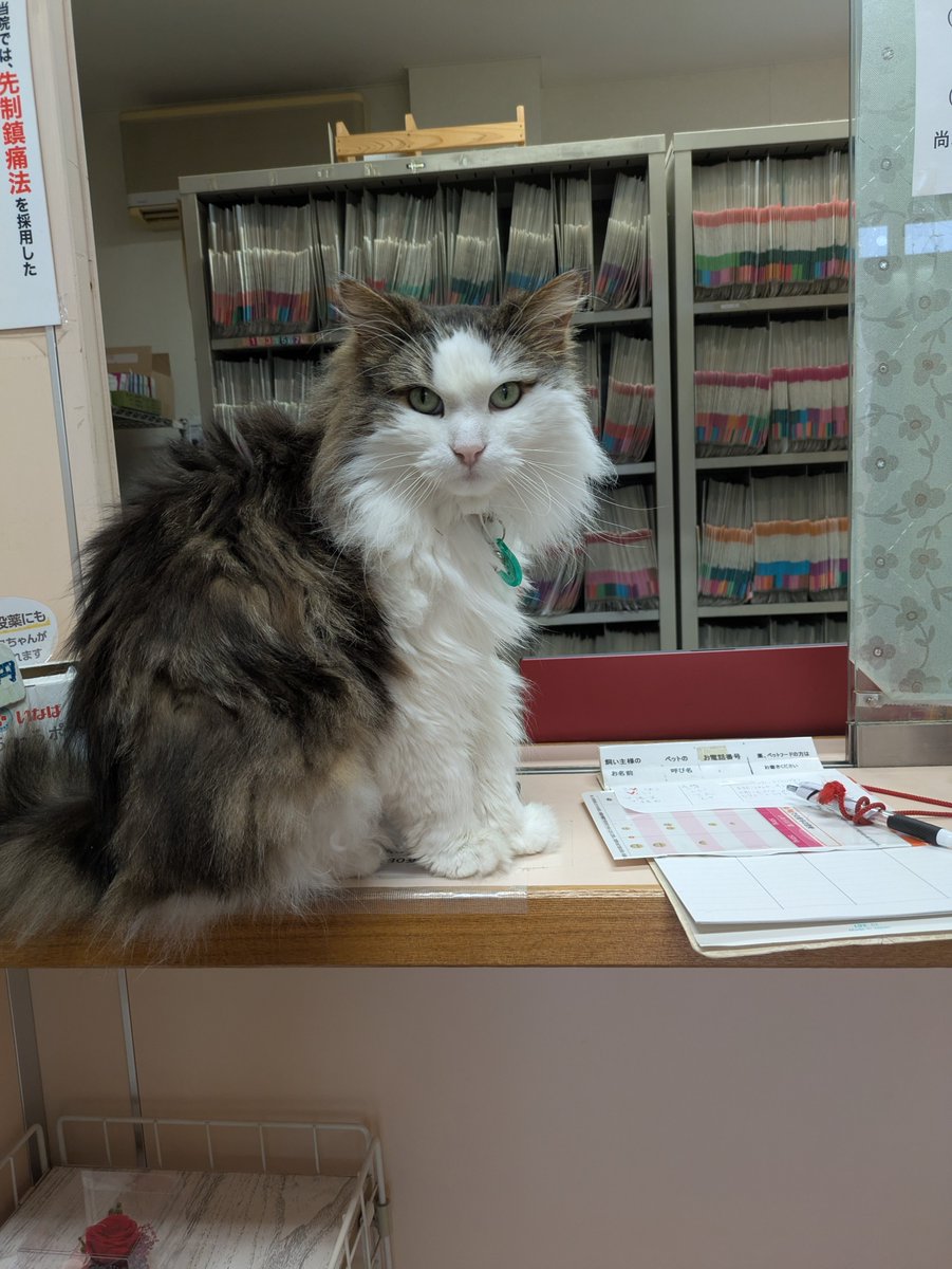 mujin_fuga's tweet image. 言ってもしょうがないですが、毎日暑いですね
難産でしたが二話のネームが完成しました
がんばります