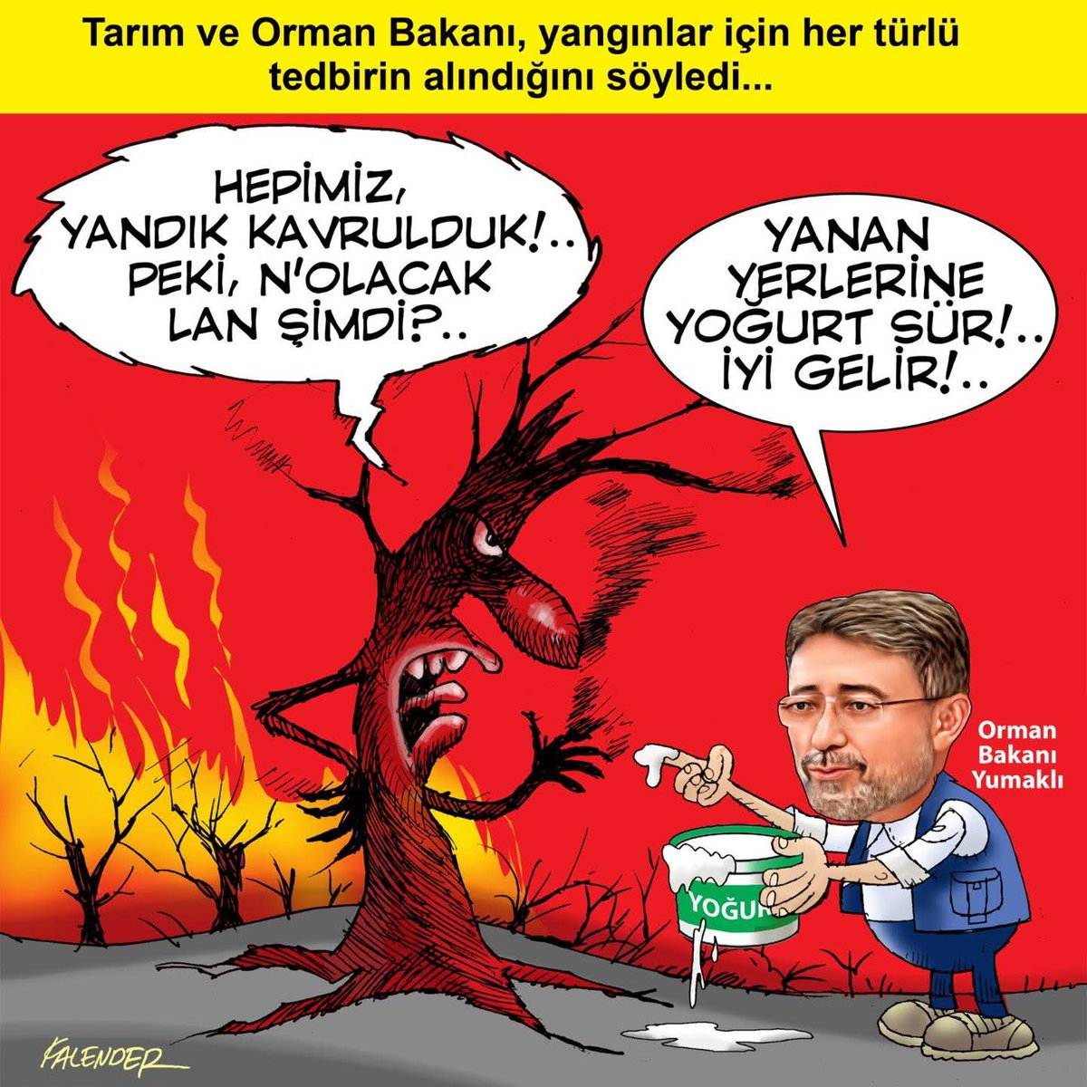 Öznur Kalender'den...