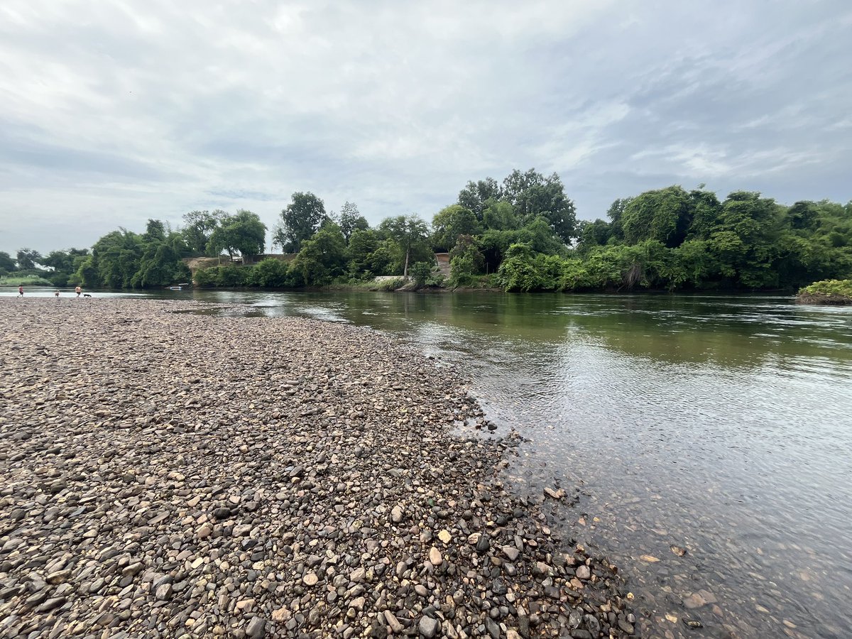 taew_rawadee's tweet image. 