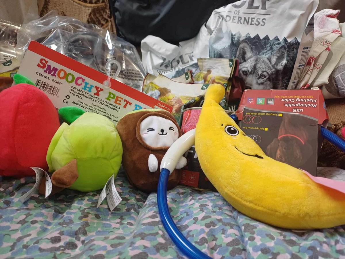 Chciałam serdecznie podziękować osobie, która przysłała nam do azylu paczuszkę z darami♥️Przepraszam, że tak późno ale dopiero dzisiaj się o niej dowiedziałam🥹Bardzo dziękujemy ♥️🐶🥰🫶