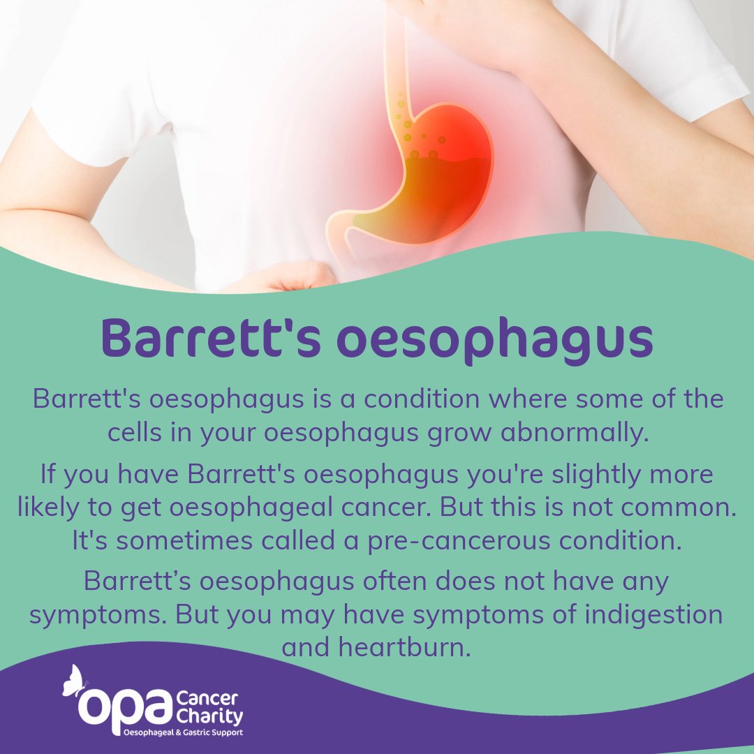What is Barrett's Oesophagus? 

#opa #cancer #charity #OesophagealCancer #Oesophagus #OesophagealCancerAwareness