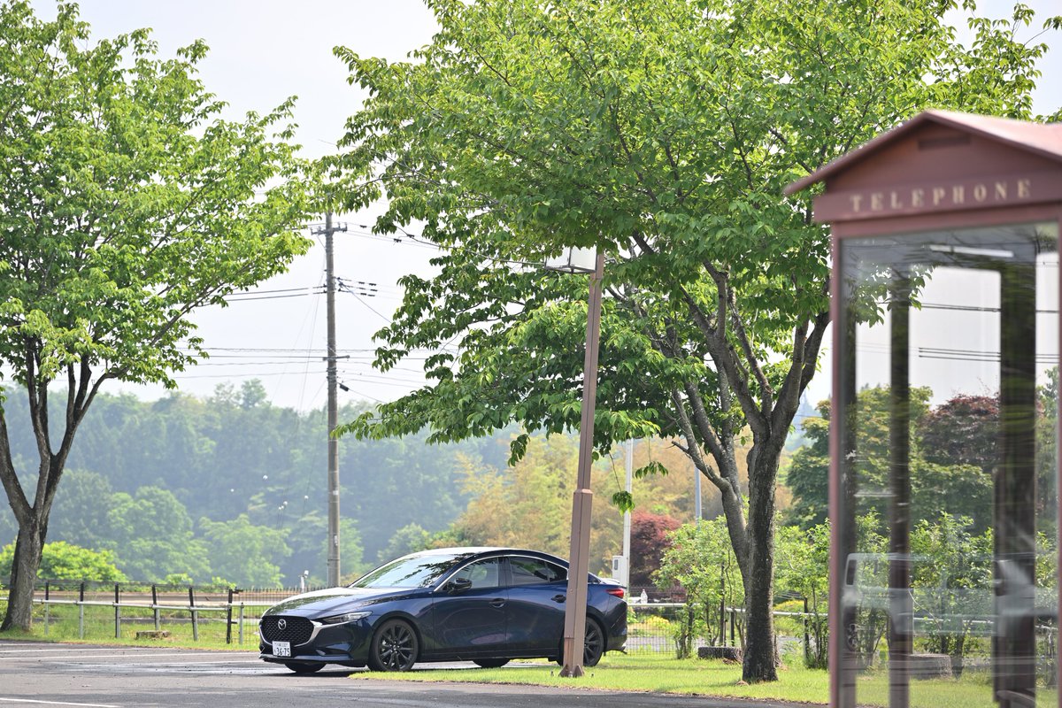 りんごさん tweet media