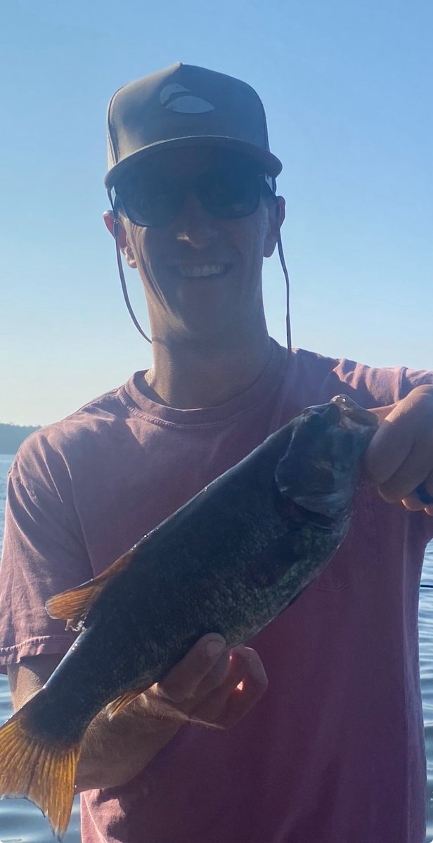 CDeplorable's tweet image. Lots of Smallmouth Bass and several Large mouth Bass. All caught and released to fight another day. We also caught some walleye, lots of panfish a few we fried up. Only one Musky in the family a 42 inch. Weather was great and pontoon cocktail cruises were plentiful.