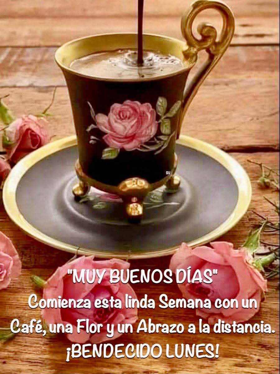 S🅰️NDY 🇩🇴☕🥰👍‼️ (@batistajose55) on Twitter photo <a href="/Velazq16Natasha/">Natasha Velazquez</a> <a href="/olgacabrera6/">dracabrera2010</a> <a href="/EvelinPlacidoAl/">Evelin Placido-Almon</a> <a href="/MariaElena1760/">Maria Elena</a> <a href="/rosaalinah/">Rosa Alina Hernandez Morrobel</a> <a href="/elviejomode/">modesto 🦉 !!</a> <a href="/donchanlatte/">Luis Mario Chanlatte Vallejo</a> <a href="/juansanjurjo6/">Sanjurjo Dominicano,🇩🇴</a> <a href="/marianaalmonte/">Mariana Almonte</a> <a href="/JesusAntonioGn1/">Jesus Antonio Gónzalez G.</a> <a href="/JoselineConcep3/">Joseline Concepcion</a> <a href="/RicardoMilagros/">Milagros Ricardo</a> <a href="/bbbmejia/">@bbbmejia 🥵 😎🌻🌼</a> <a href="/Adonaidamedina/">Adonaida Medina</a> <a href="/RosalbalaDiva/">Rosalba Escaño</a> <a href="/MVirginiaSegura/">Maria Virginia Segura acosta</a> <a href="/FrancisMVargasT/">Francis Vargas</a> <a href="/CiudadanoPatru1/">CiudadanoPatrullero®</a> <a href="/FranklinPe15821/">☕☕☕</a> <a href="/Miguela68924835/">Miguel angel Gómez</a> <a href="/RamnRosario9/">RR</a> <a href="/ThelmoLozano1/">Thelmo Lozano</a> <a href="/KGarciaVc1982/">GarciaVc1982</a> Igual para usted bella ⚘️Natasha⚘️ Qué su inicio de semana sea de salud y bienestar ☕️
Bendiciones 🙏‼️ <a href="/Velazq16Natasha/">Natasha Velazquez</a> <a href="/olgacabrera6/">dracabrera2010</a> <a href="/EvelinPlacidoAl/">Evelin Placido-Almon</a> <a href="/MariaElena1760/">Maria Elena</a> <a href="/rosaalinah/">Rosa Alina Hernandez Morrobel</a> <a href="/elviejomode/">modesto 🦉 !!</a> <a href="/donchanlatte/">Luis Mario Chanlatte Vallejo</a> <a href="/juansanjurjo6/">Sanjurjo Dominicano,🇩🇴</a> <a href="/marianaalmonte/">Mariana Almonte</a> <a href="/JesusAntonioGn1/">Jesus Antonio Gónzalez G.</a> <a href="/JoselineConcep3/">Joseline Concepcion</a> <a href="/RicardoMilagros/">Milagros Ricardo</a> <a href="/bbbmejia/">@bbbmejia 🥵 😎🌻🌼</a> <a href="/Adonaidamedina/">Adonaida Medina</a> <a href="/RosalbalaDiva/">Rosalba Escaño</a> <a href="/MVirginiaSegura/">Maria Virginia Segura acosta</a> <a href="/FrancisMVargasT/">Francis Vargas</a> <a href="/CiudadanoPatru1/">CiudadanoPatrullero®</a> <a href="/FranklinPe15821/">☕☕☕</a> <a href="/Miguela68924835/">Miguel angel Gómez</a> <a href="/RamnRosario9/">RR</a> <a href="/ThelmoLozano1/">Thelmo Lozano</a> <a href="/KGarciaVc1982/">GarciaVc1982</a> Igual para usted bella ⚘️Natasha⚘️ Qué su inicio de semana sea de salud y bienestar ☕️
Bendiciones 🙏‼️
