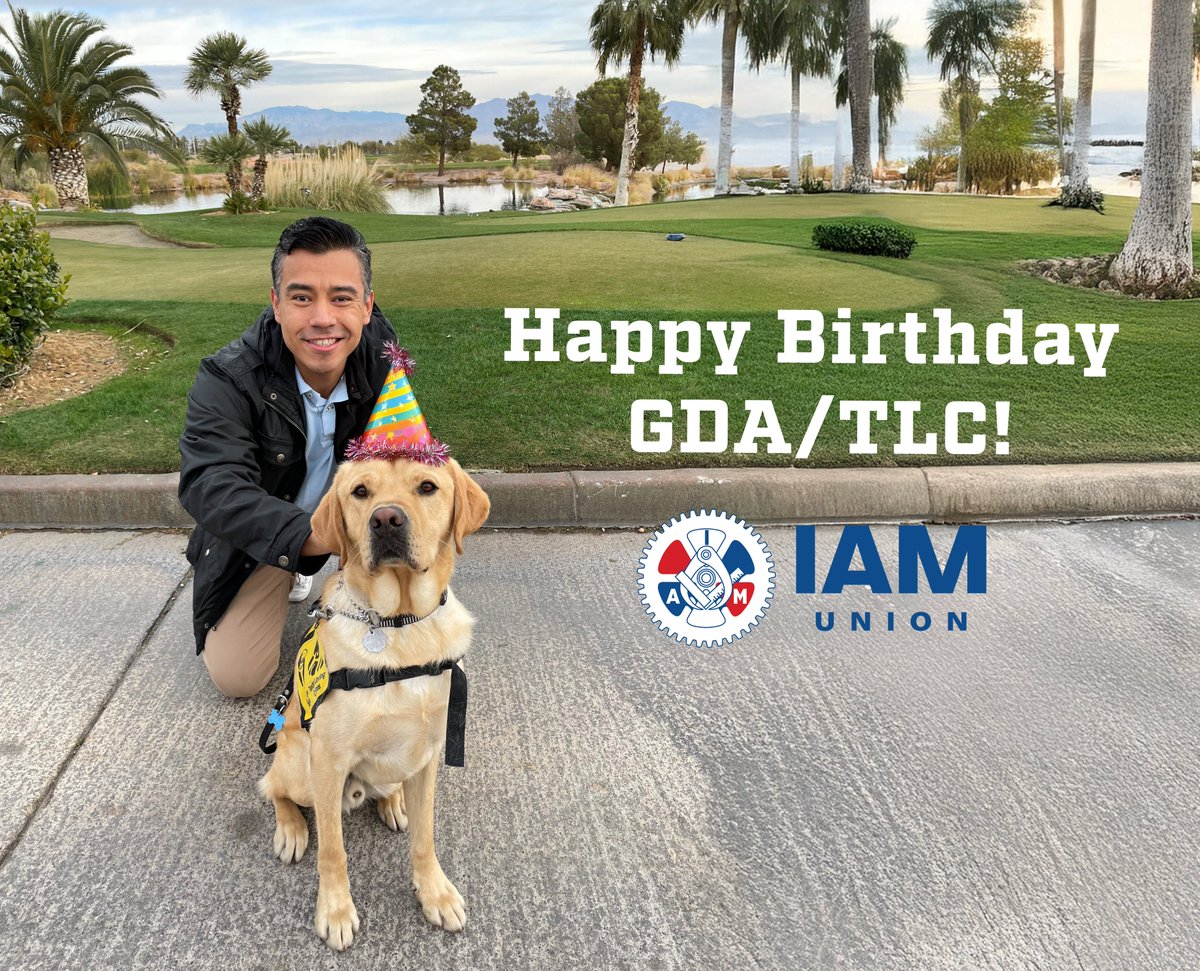 🎉 Today we celebrate the 77th anniversary of IAM's favorite charity, <a href="/GuideDogsGDA/">Guide Dogs of America | Tender Loving Canines</a>!

Since 1948, GDA/TLC has provided free service dogs to those in need—including veterans, kids with autism &amp; the visually impaired. 🐾 (1/2)
