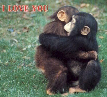lluv04's tweet photo. 💌📬
De: @jrxsss 
Para: @lgnxs 

Feliz 1A ♥️ https://t.co/nQberyDV9F
