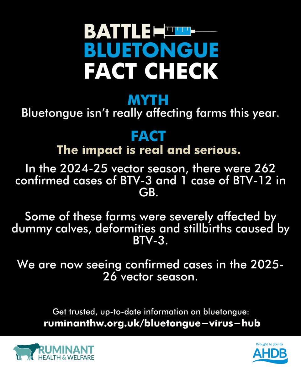 SheepVetsoc's tweet image. Find all #BattleBluetongue resources from 
ruminanthw.org.uk/bluetongue-vir…

Vaccine decision  maker: ruminanthw.org.uk/wp-content/upl…