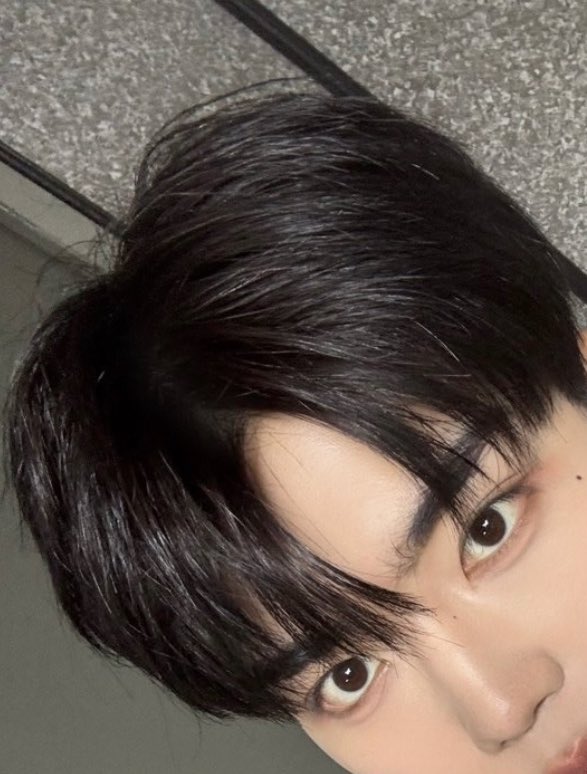 _uwook1's tweet image. 머리에 엉둥이 머리에 엉둥이