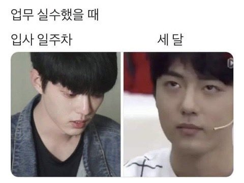 cinystramano's tweet image. 직장인들 심경 변화