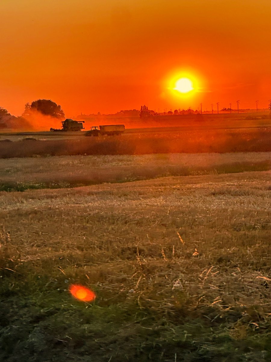 [CONCOURS PHOTO D'ETE - LUMIERES SUR MA FERME]

Photo N°17 🔥 Un coucher de soleil intense sur la moisson à Flavy-le-Martel.

Romain Debuire (EARL Debuire) capture la scène dans toute sa chaleur : la poussière de la moisson, les silhouettes agricoles et l’horizon en feu…