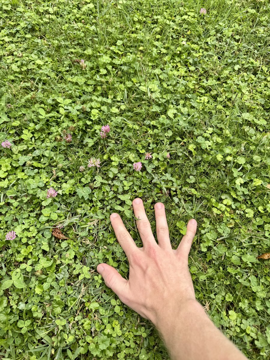 Koenmtb1's tweet image. Remember folks, step away from your validator every once in a while to touch some grass