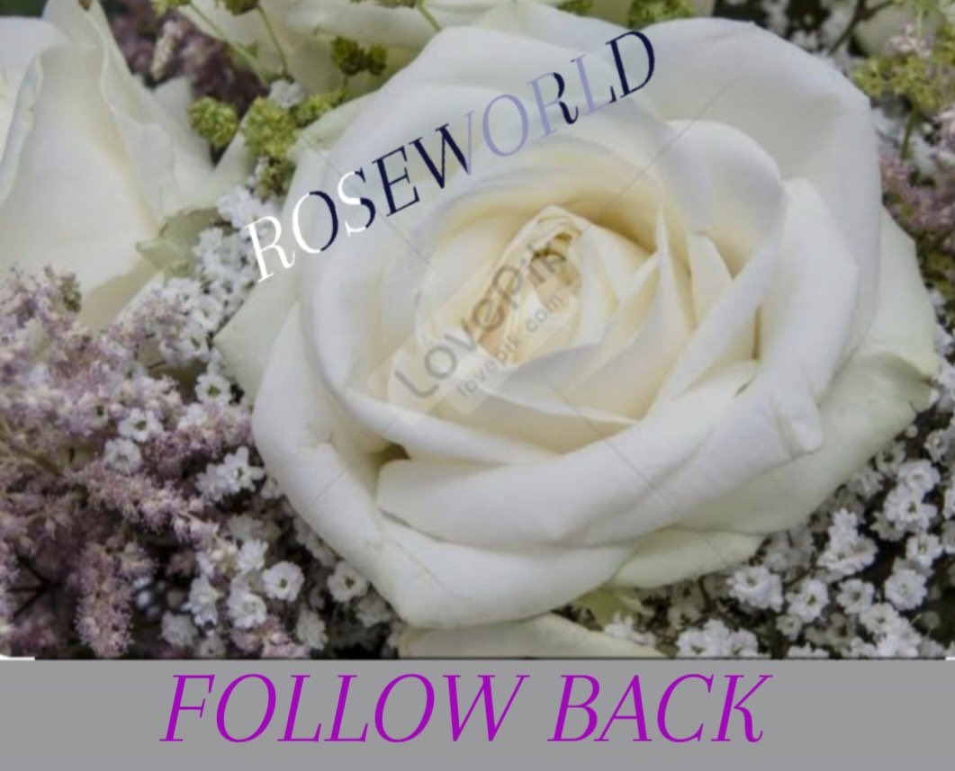 1klb_'s tweet image. ROSEFF
🔱@Roseclod
@TRclod
@G0ye5
@fzsnchp
@Akkurt026
@1klb_
@Ela0633
@mkus27
@sungelin
@1_drs42
@ertnayk
@Aslym0
@m_kayrak
@1elf_
@2_Talh
@nlf16
@zubus__
@drssn_42
@Mehter_22
@FaAG007
@EeeSaoh
@Anajbejeb
@sorix_45
@AyE8898
@NebilKahil
@Trkqs_43
@durpeki
@06ra6
@1ramo4
@Svd_61