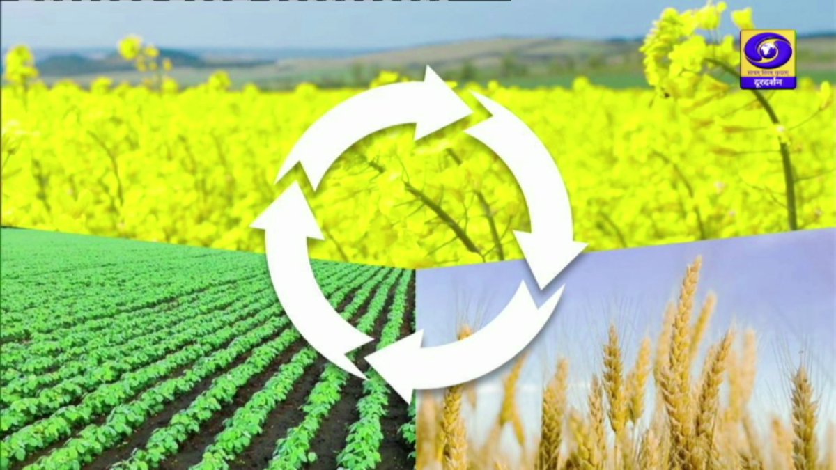 DDUttarPradesh's tweet image. अभी देखिए कार्यक्रम #कृषि_दर्शन

विषय - मृदा सुधार में दलहनी फसल की उपयोगिता

प्रसारण #डीडी_यूपी पर और youtube.com/live/hO6ygg9kH…
#SoilImprovement, #PulseCrops, #KrishiDarshan, #OrganicFarming, #GreenAgriculture