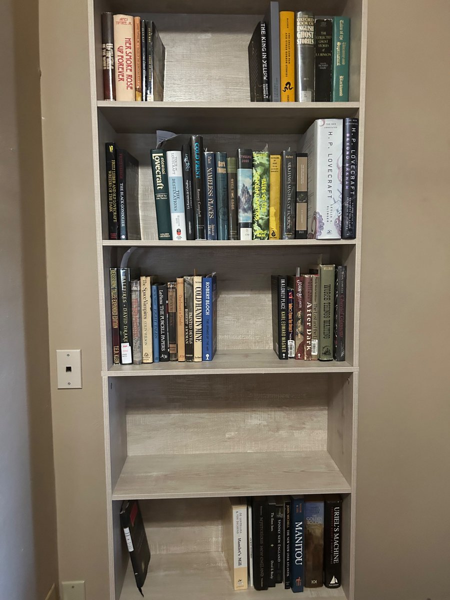 Papijoe62's tweet image. My first shelfie. Got a new bookcase for my home office. It’s just my horror collection and some paranormal and antiquarian non-fiction. Maybe I’ll add fantasy and put the scifi and apologetics it the space I freed up elsewhere.