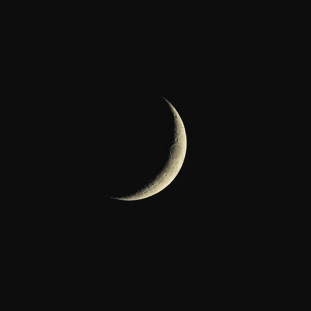 chobi_2000's tweet image. 今日のお月様〜🌙