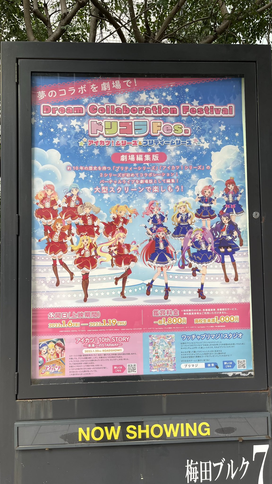 アイカツ　42 SP CP P まとめ　バラ売り不可 アイカツ 42 SP CP P まとめ バラ売り不可 ゲームセンター