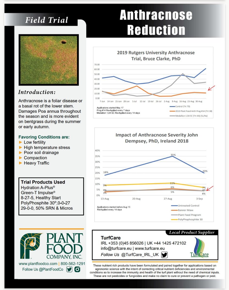 TurfCare (@turfcare_irl_uk) on Twitter photo 🔬 Turf Disease Focus: Anthracnose (Colletotrichum cereale). Management and prevention are critical to managing this disease. #researchproven SHOTS from <a href="/PlantFoodCo/">Plant Food Company</a> #TurfCare3PA Sustainable Plant Health Excellence 🔬 Turf Disease Focus: Anthracnose (Colletotrichum cereale). Management and prevention are critical to managing this disease. #researchproven SHOTS from <a href="/PlantFoodCo/">Plant Food Company</a> #TurfCare3PA Sustainable Plant Health Excellence