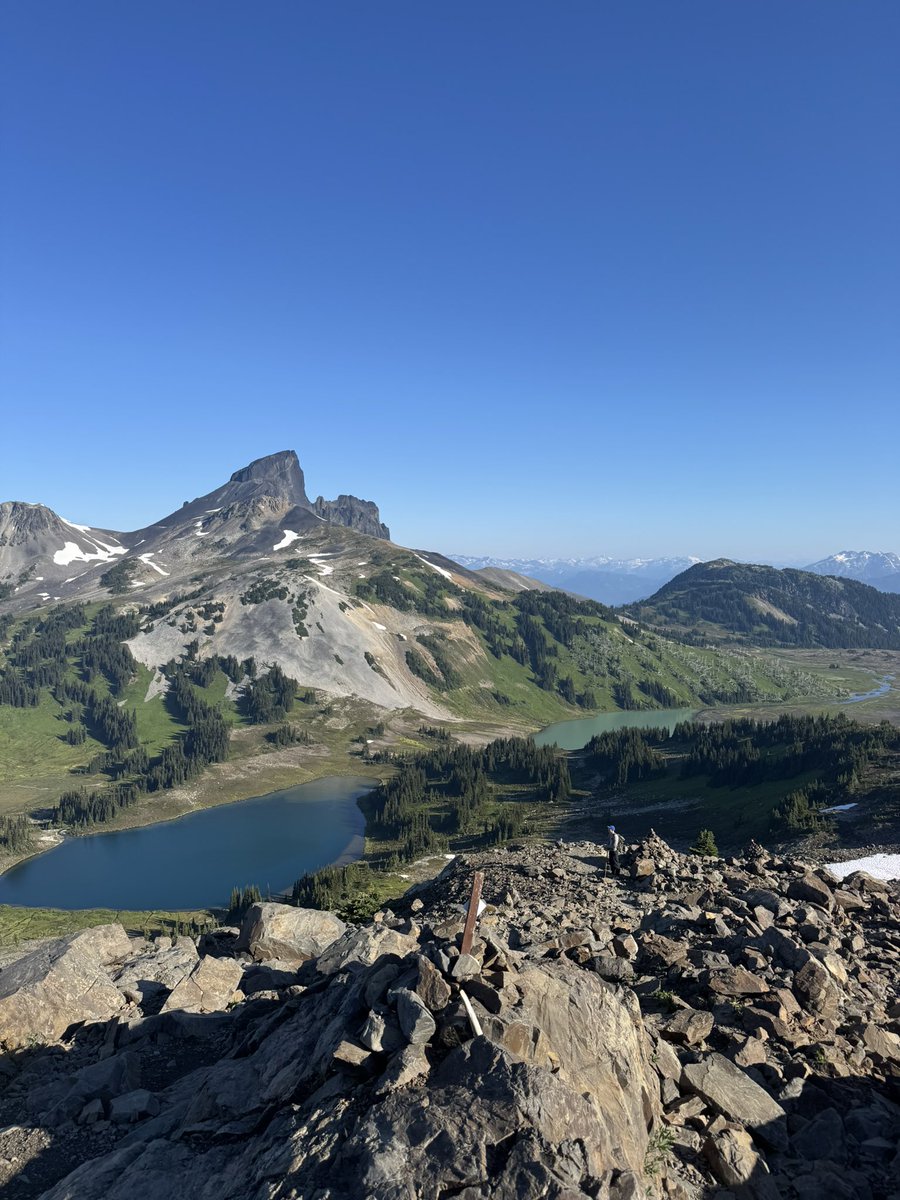 Post #ICML2025 blues (&amp;greens)