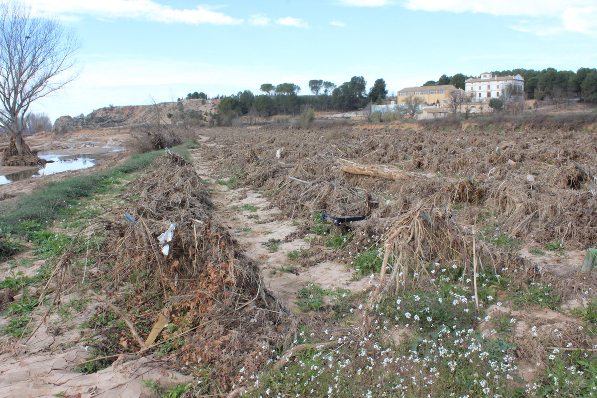 El <a href="/gobmapa/">Ministerio de Agricultura, Pesca y Alimentación</a> ha abonado casi 65 millones de euros a 8.530 agricultores afectados por la dana en la provincia de Valencia. Se ha publicado el séptimo y último listado de concesión de ayudas directas a agricultores y ganaderos afectados por pérdida de renta

agronewscomunitatvalenciana.com/el-ministerio-…