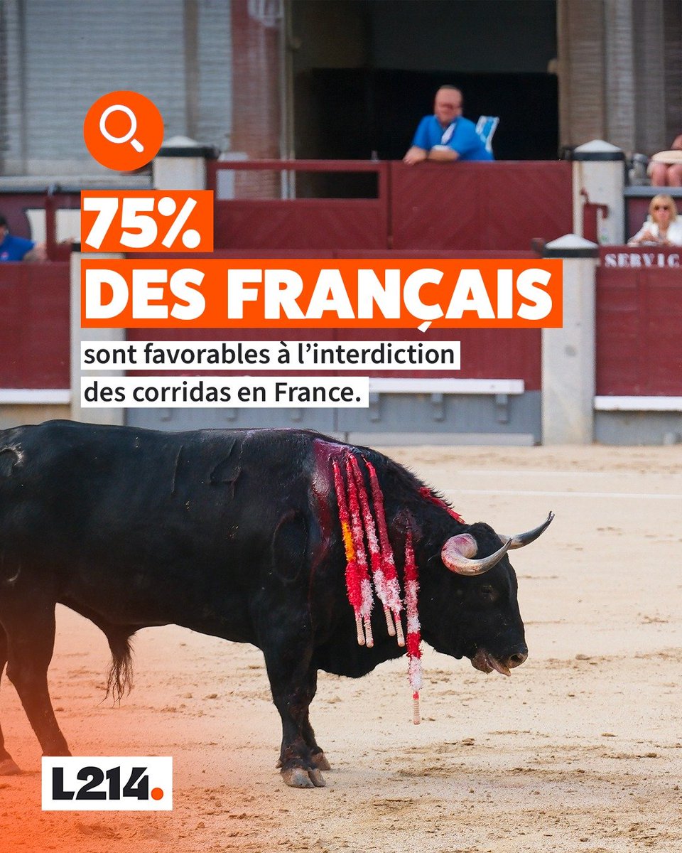 PERSONNEL (@loovenelle) on Twitter photo Et vous, vous êtes pour l’interdiction de la corrida? Faisons interdire la corrida en #France 👇 bit.ly/abolition-corr…
<a href="/L214/">L214 éthique & animaux</a> #Corrida Et vous, vous êtes pour l’interdiction de la corrida? Faisons interdire la corrida en #France 👇 bit.ly/abolition-corr…
<a href="/L214/">L214 éthique & animaux</a> #Corrida