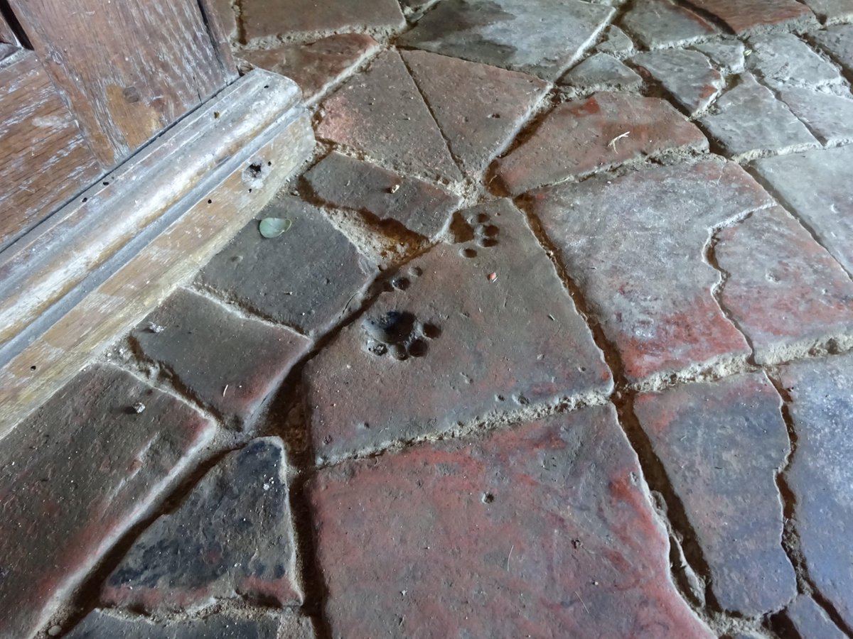 TigerDetective's tweet image. Cat paw prints embedded in the medieval floor tiles of St Peter&apos;s Church in Wormleighton, England, dating back to the 12th century CE.