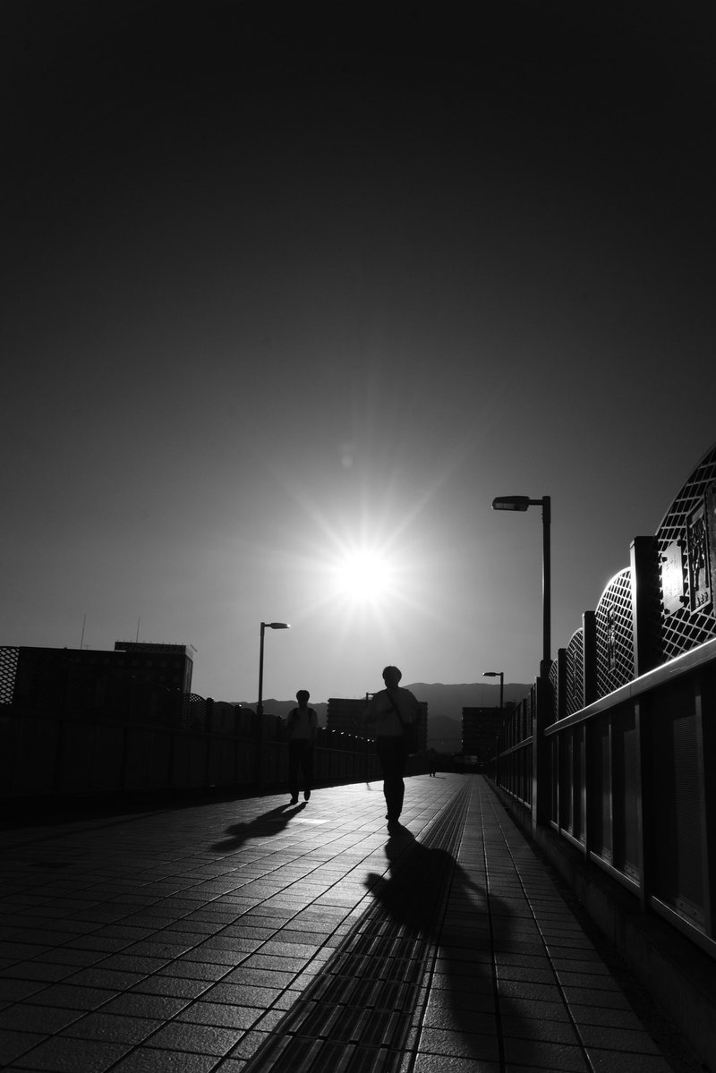 Samechan__17's tweet image. 優しい時間 2025 No204
Gentle Time
#優しい時間
#gentletime
#gr3
#モノクロ写真
#blackandwhitephotography
#白黒写真
#monochromephotography
#写真が好きな人と繋がりたい