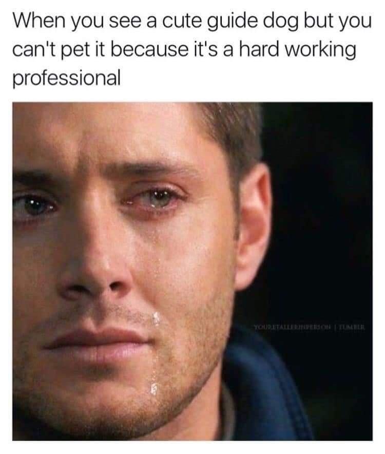 Satan (@s8n) on Twitter photo 