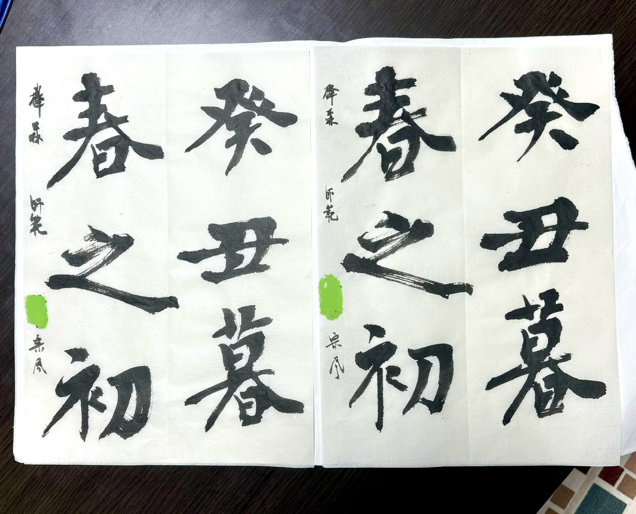 中国書道掛軸　珊瑚枝　寧日曽先生 中国書道掛軸 珊瑚枝 寧日曽先生 絵画