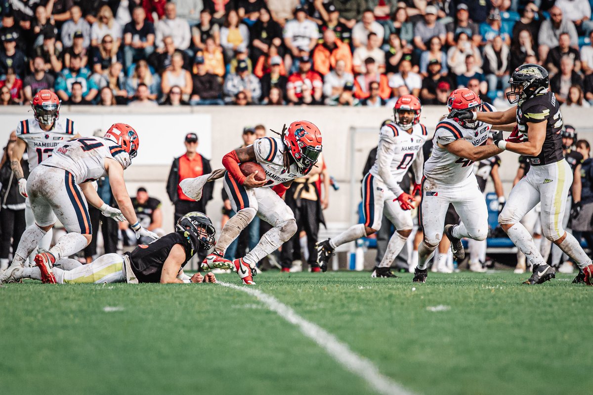 Hamburg Sea Devils tweet media